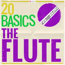 Flute Concerto No. 5 in F Major, RV 434: III. Presto