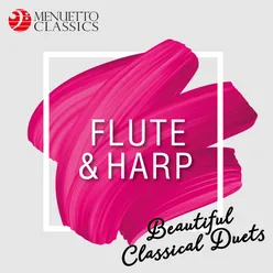 Sonata for Flute and Harp No. 1: IV. Adagio - Presto