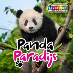 Panda Paradijs
