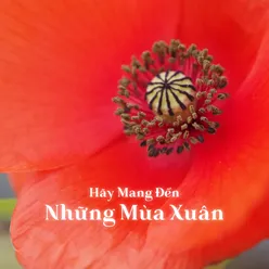 Hãy Mang Đến Những Mùa Xuân