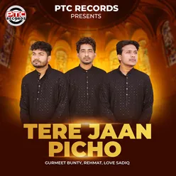 Tere Jaan Picho