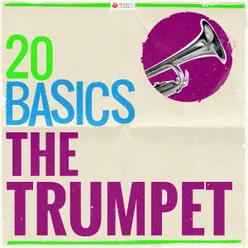 Sonata for Trumpet and Strings in D Major, Z. 850: I. Pomposo