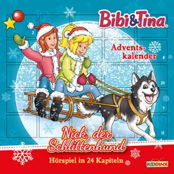 Adventskalender: Nick, der Schlittenhund