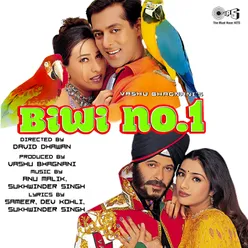 Biwi No. 1 (Remix)
