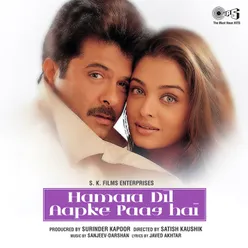 Hamara Dil Aapke Paas Hai (Original Motion Picture Soundtrack)