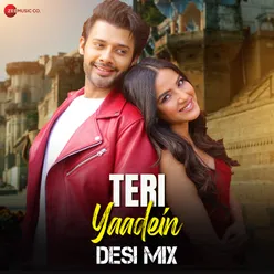 Teri Yaadein - Desi Mix