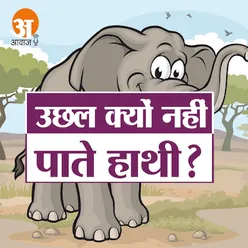 उछल क्यों नहीं पाते हाथी?