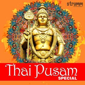Chinna Chinna Muruga Mp3 Song Download By Sivaangi Thai Pusam Special Wynk Vennilavu thottu muthamida aasai ennai intha bhoomi sutrivara aasai. chinna chinna muruga mp3 song download