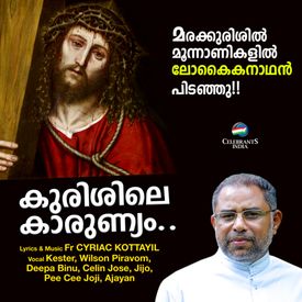 Kurishen Raksha Margame Mp3 Song Download By Wilson Piravom Kurishile Karunyam Wynk Maranju poyathenthe nee akannu poyathevide. wynk music