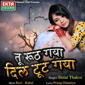 Tu Ruth Gaya Dil Tut Gaya Songs Download Mp3 Or Listen Free Songs Online Wynk