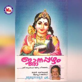 Pandoru Kattil Mp3 Song Download By Wilson Piravom Njanapazham Wynk