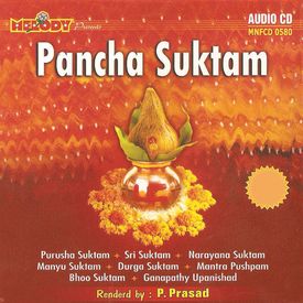 Manyu Suktam Mp3 Song Download By P Prasad Divine Vedic Chants Wynk