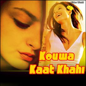 Ye Ilakar Didi Mp3 Song Download By Lallu Raja Kouwa Kaat Khahi Wynk Didi lagu mp3 download from lagump3downloads.com. wynk music