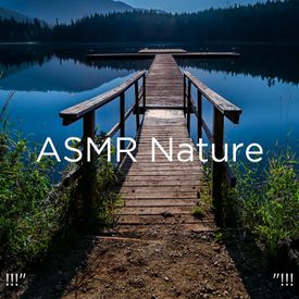 ASMR "!!! Songs Download MP3 or Listen Free Songs Online | Wynk