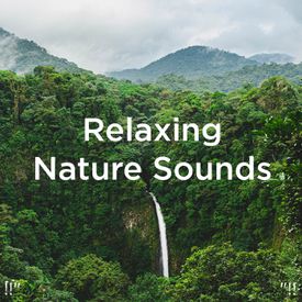 uudgrundelig Aktiver Amerika Nature Sounds For Relaxation Song Online - Nature Sounds For Relaxation mp3  song download | Wynk
