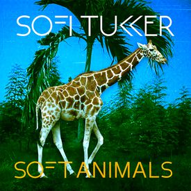 Hey Lion Mp3 Song Download By Sofi Tukker Soft Animals Ep Wynk
