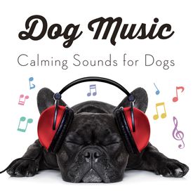 dog sleep music songs