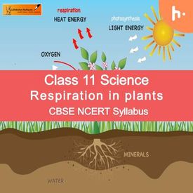 Listen Online Podcast Theory Set Cbse Class 11 Biology Respiration In Plants Episode 2 On Wynk