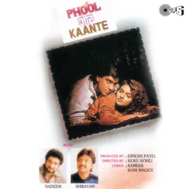 Phool Aur Kaante Songs Download Mp3 Or Listen Free Songs Online Wynk