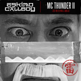 Mc Thunder Ii Dancing Like A Ninja Mp3 Song Download By Eskimo Callboy Wynk