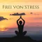 Autogenes Training (Yoga & Meditation Hintergrundmusik)