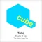 Shake It Up The Cube Guys Mix