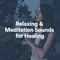 Relaxing & Meditation Sounds for Healing, Pt. 19