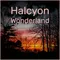 Halcyon Wonderland