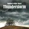 Natural White Noise: Thunderstorm, Pt. 10
