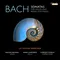Violin Sonata in E Minor, BWV 1023: I. (Without Tempo indication)