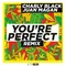 You're Perfect-Remix