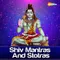 Shiva Manas Pooja