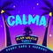 Calma-Alan Walker Remix