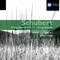 String Quartet No. 15 in G Major, D.887 (1996 Digital Remaster): III. Scherzo (Allegro vivace) & Trio (Allegretto)