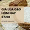 Giá lúa gạo hôm nay ngày 27/08/2024: Gạo thành phẩm IR 504 tăng nhẹ 50 đồng/kg