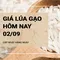 Giá lúa gạo hôm nay ngày 02/09/2024: Thị trường giao dịch ổn định, không có biến động