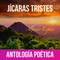 JICARAS TRISTES PRESENTACION DE ANTOLOGIA POETICA | Alfredo Espino Poemas | Valentina Zoe Poesia