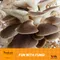 Ep. 95: Fun With Fungi