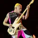 Flea