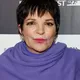 Liza Minnelli