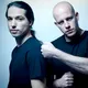 Infected Mushroom